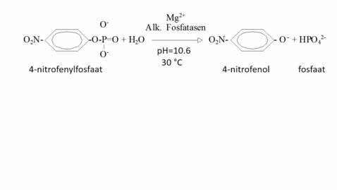 Thumbnail for De bepaling van de enzymactiviteit van Alkalische Fosfatase