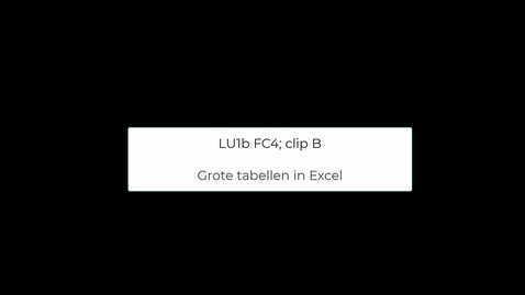 Thumbnail for B_grote tabellen in excel