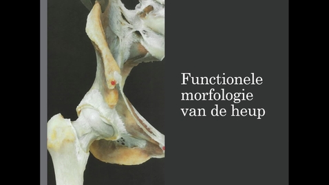 Thumbnail for Arthrokinematica van het heupgewricht