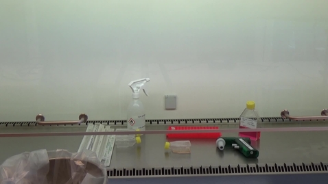 Thumbnail for Tissue Culture : Passing suspension cells