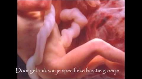 Thumbnail for HBOV06 - Het wonder van ontwikkelingspsychologie