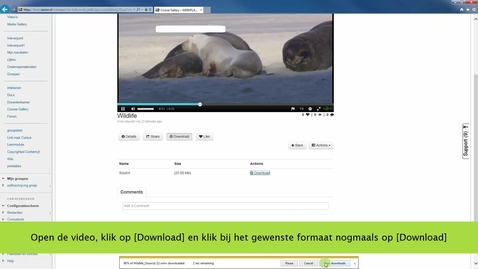 Thumbnail for Een video downloadbaar maken